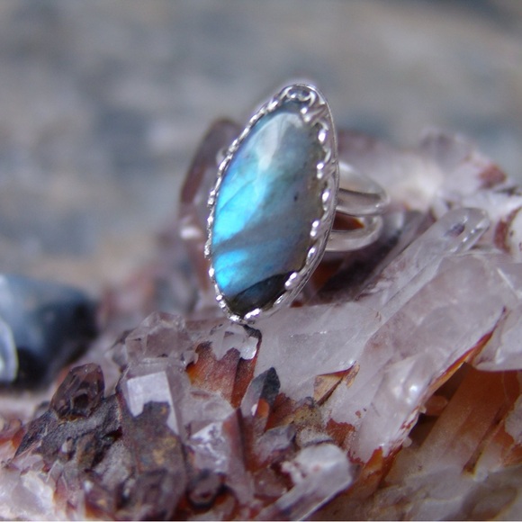 Meet your Posher, Sandy - Picture 9 of 16